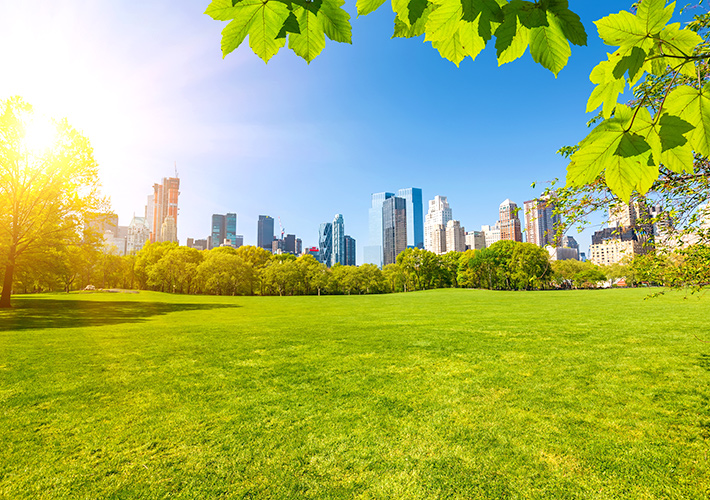 NYの公園の王道セントラルパーク