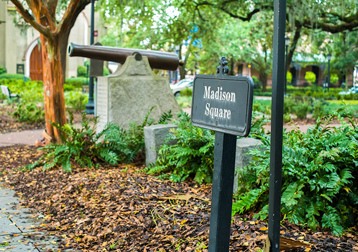 ハンバーガー片手に散策が楽しいマディソンスクエアパーク