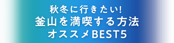 エアプサン Bx の格安航空券の検索 予約 エアトリ