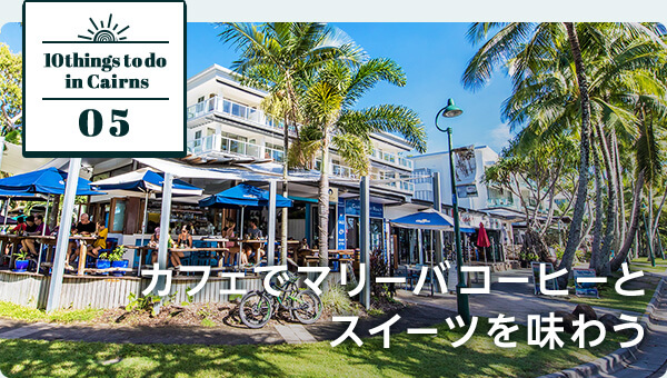 ケアンズ旅行でしたい10のこと エアトリ ケアンズ旅行でしたい10のこと エアトリ