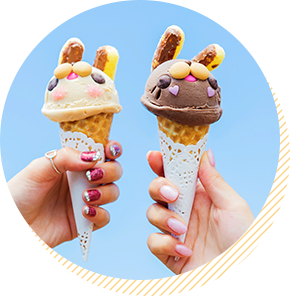 チェジュ島でかわいいに出会う女子旅 エアトリ