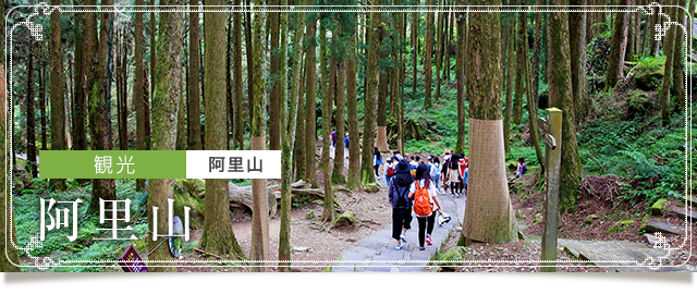 台湾の人気山岳観光地阿里山 アーリーシャン アリサン エアトリ